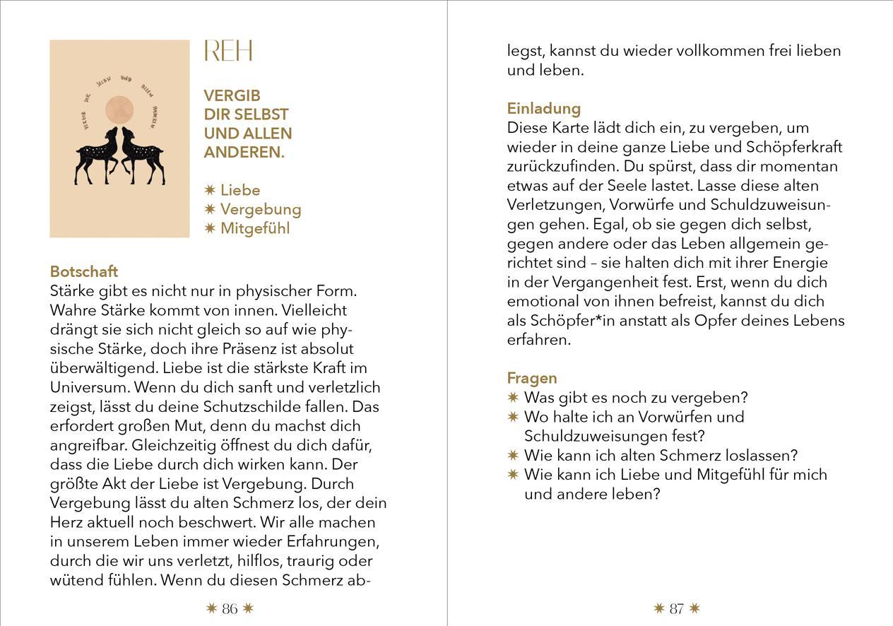 Beispielinhalt (Bild) Spirituelle Botschaften von deinem Animal Spirit