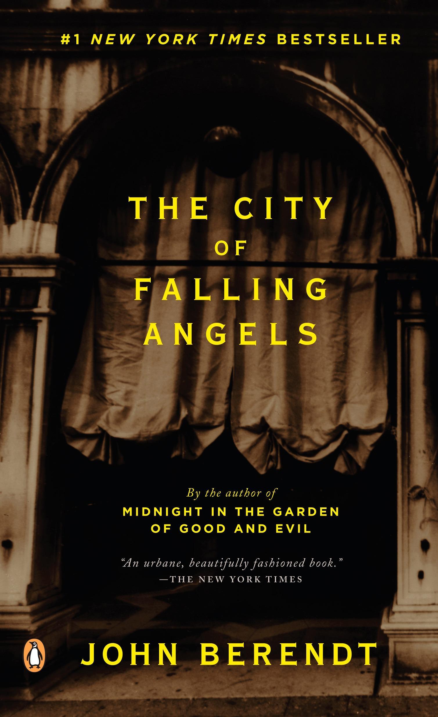 Vorderes Coverbild The City of Falling Angels