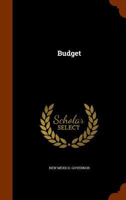 Vorderes Coverbild Budget