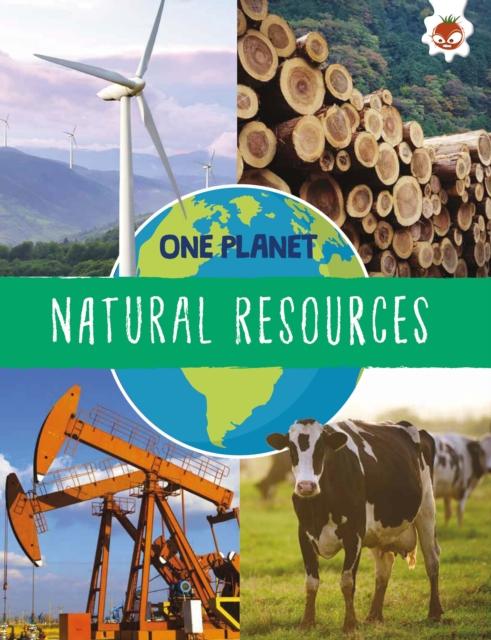 Vorderes Coverbild Natural Resources
