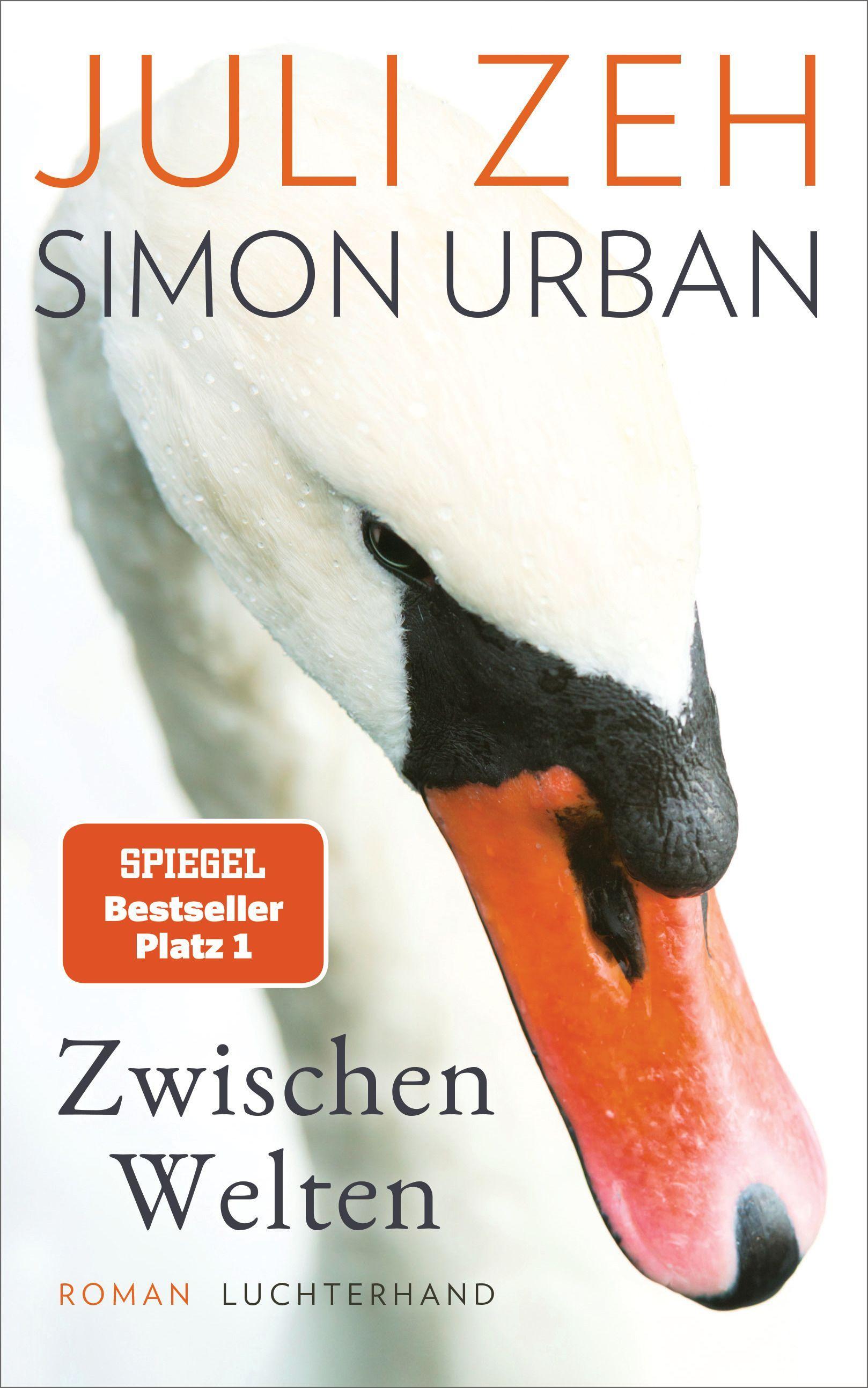 Vorderes Coverbild Zwischen Welten
