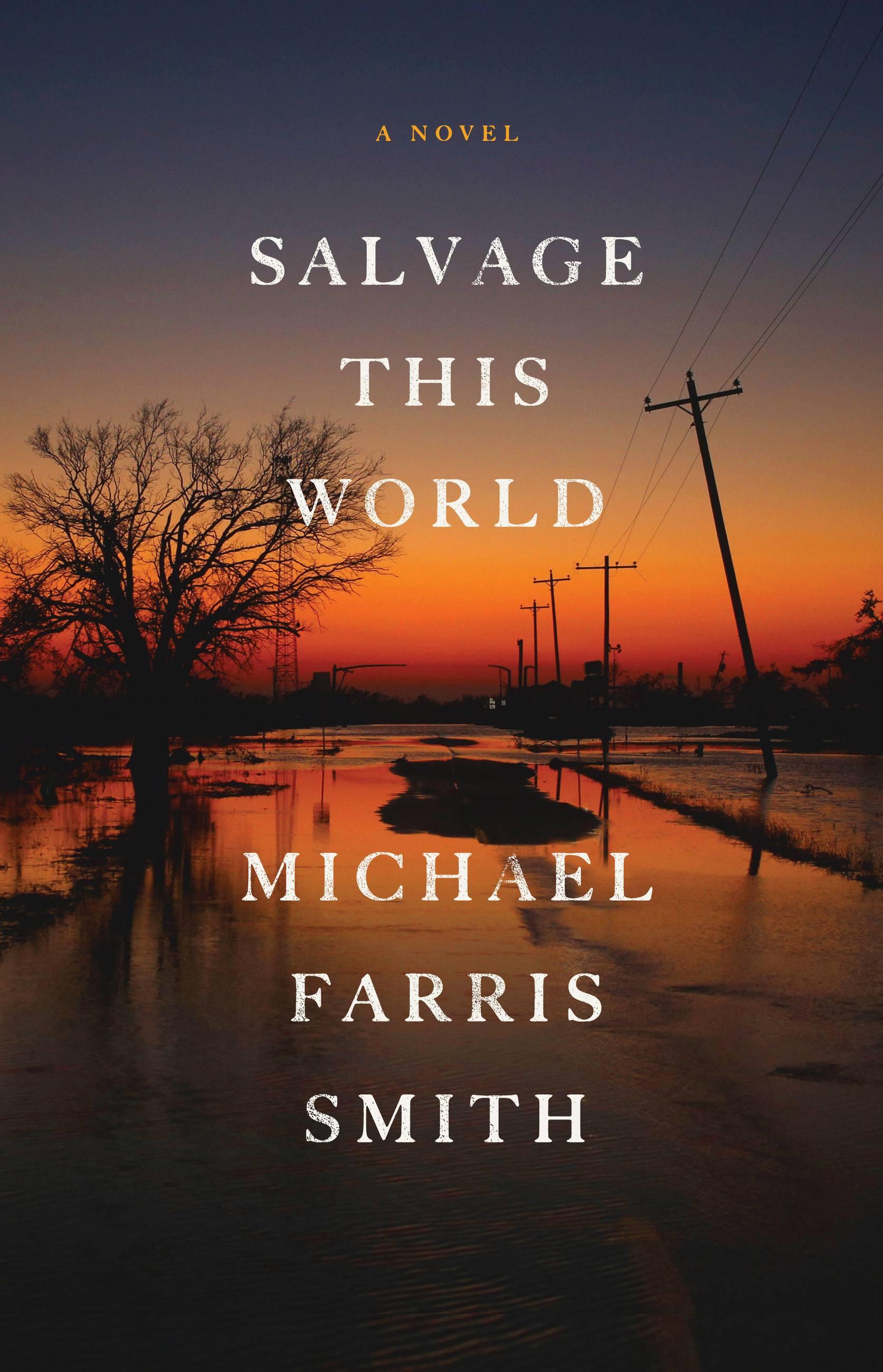 Vorderes Coverbild Salvage This World