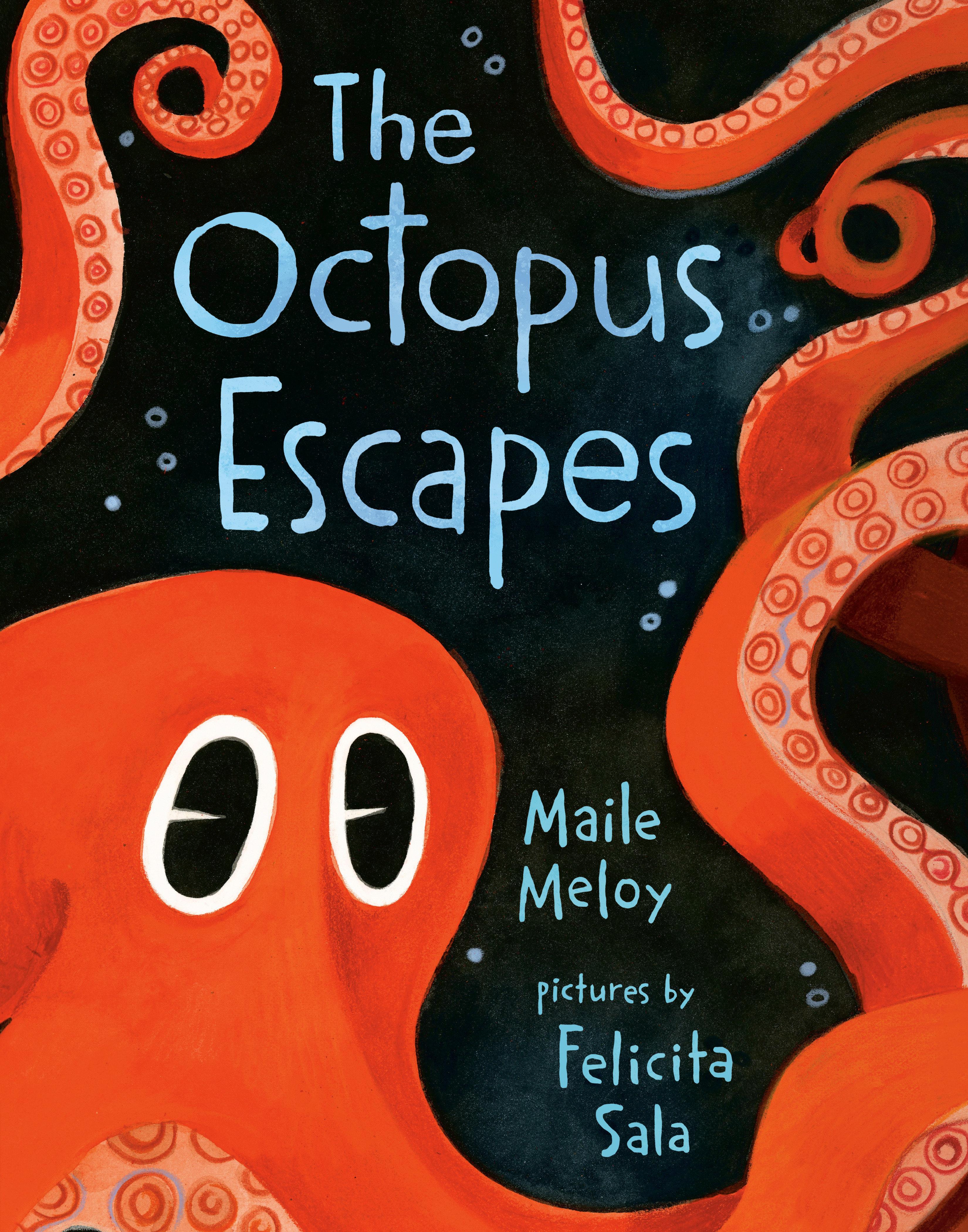 Vorderes Coverbild The Octopus Escapes