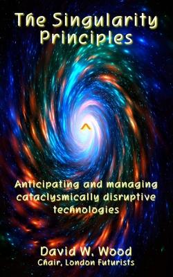 Vorderes Coverbild The Singularity Principles: Anticipating and managing cataclysmically disruptive technologies