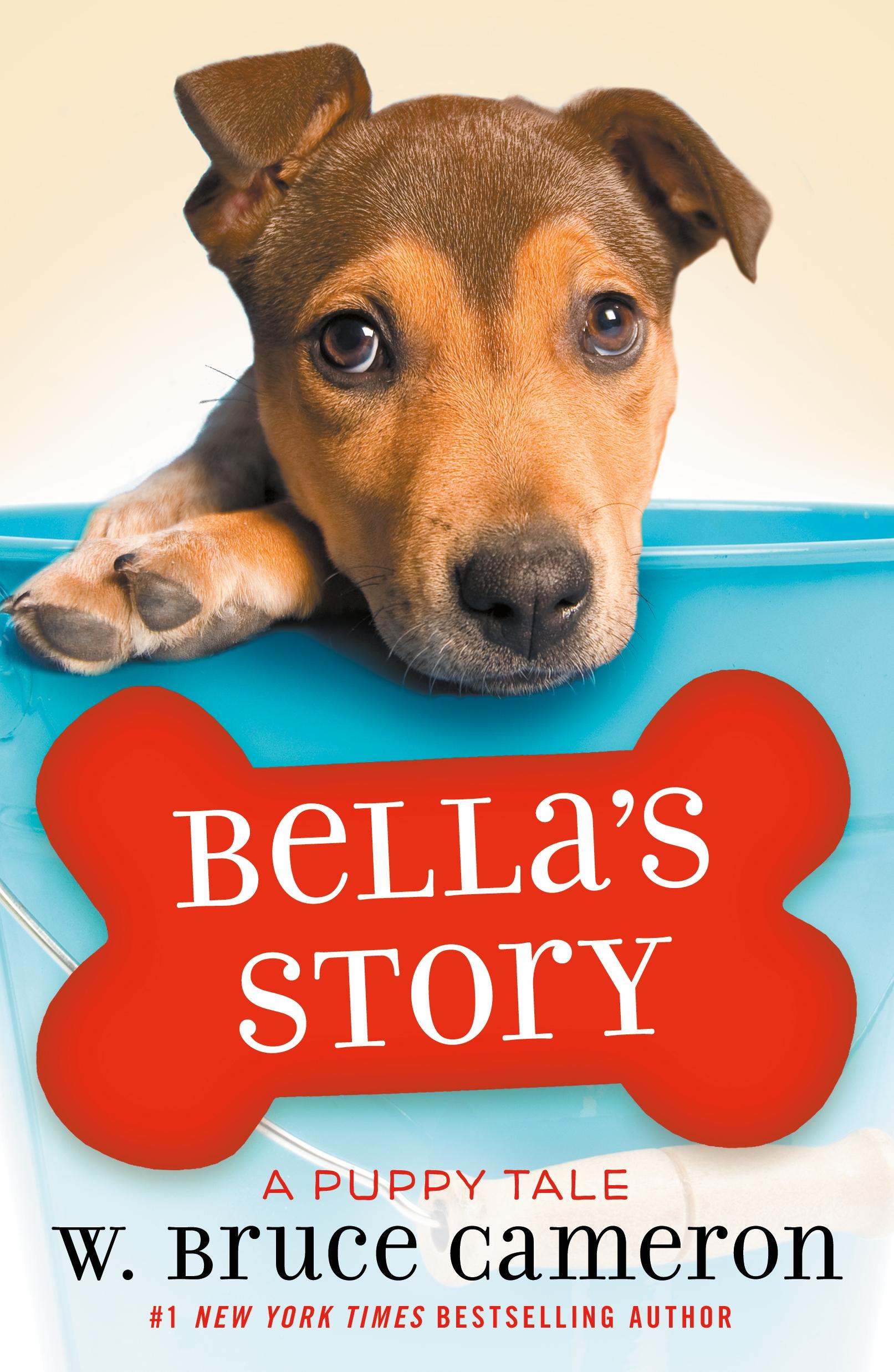 Vorderes Coverbild Bella's Story