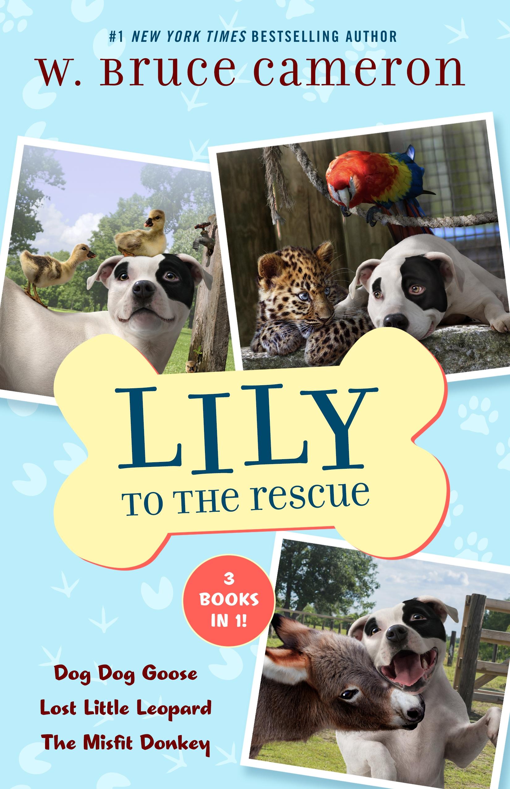 Vorderes Coverbild Lily to the Rescue Bind-Up Books 4-6
