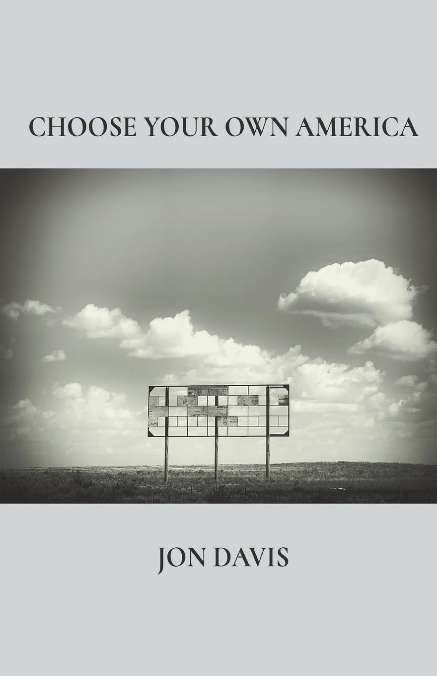 Vorderes Coverbild Choose Your Own America