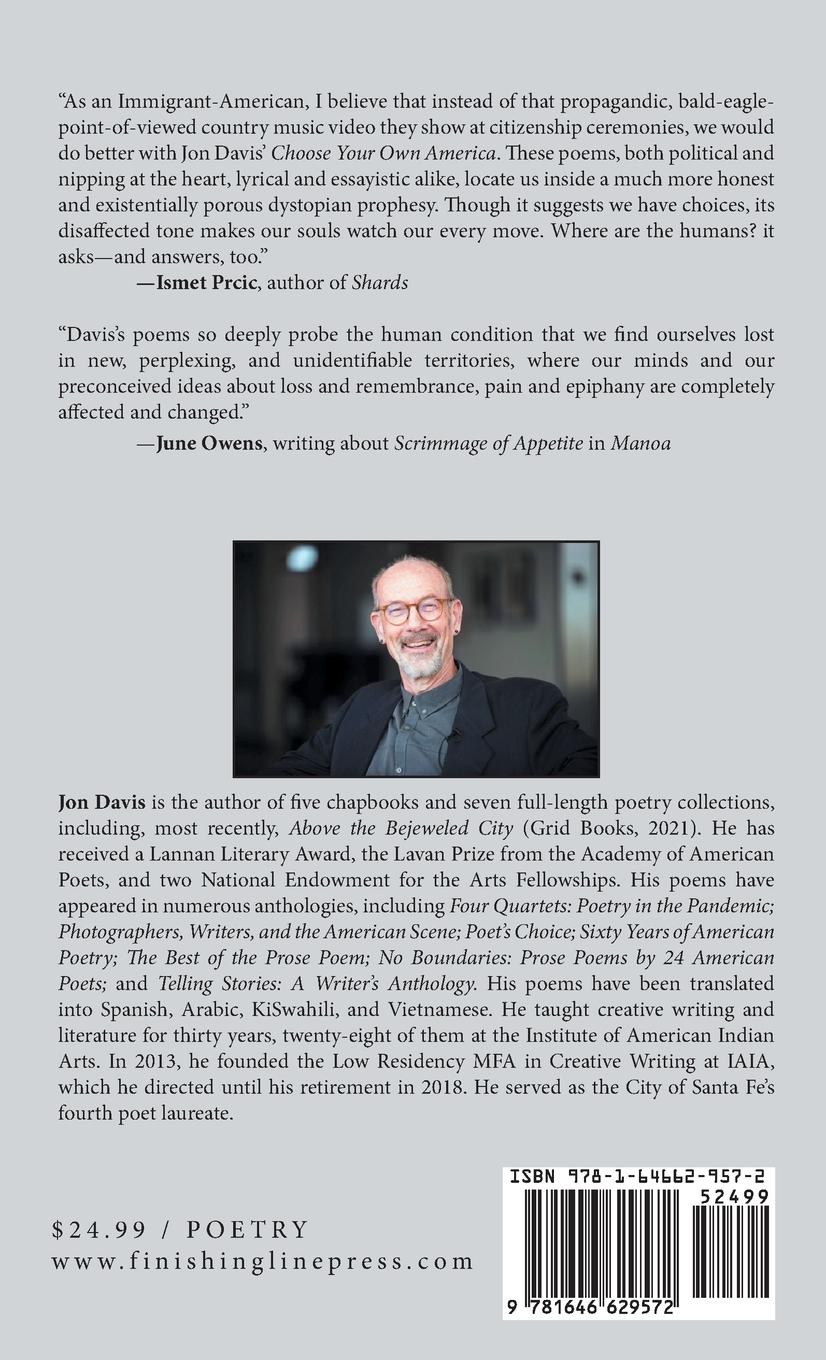 Rückseitencover Choose Your Own America