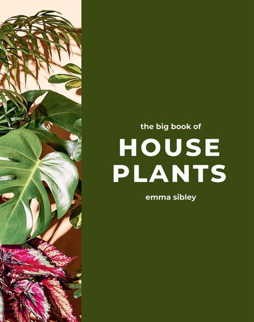 Vorderes Coverbild The Big Book of House Plants