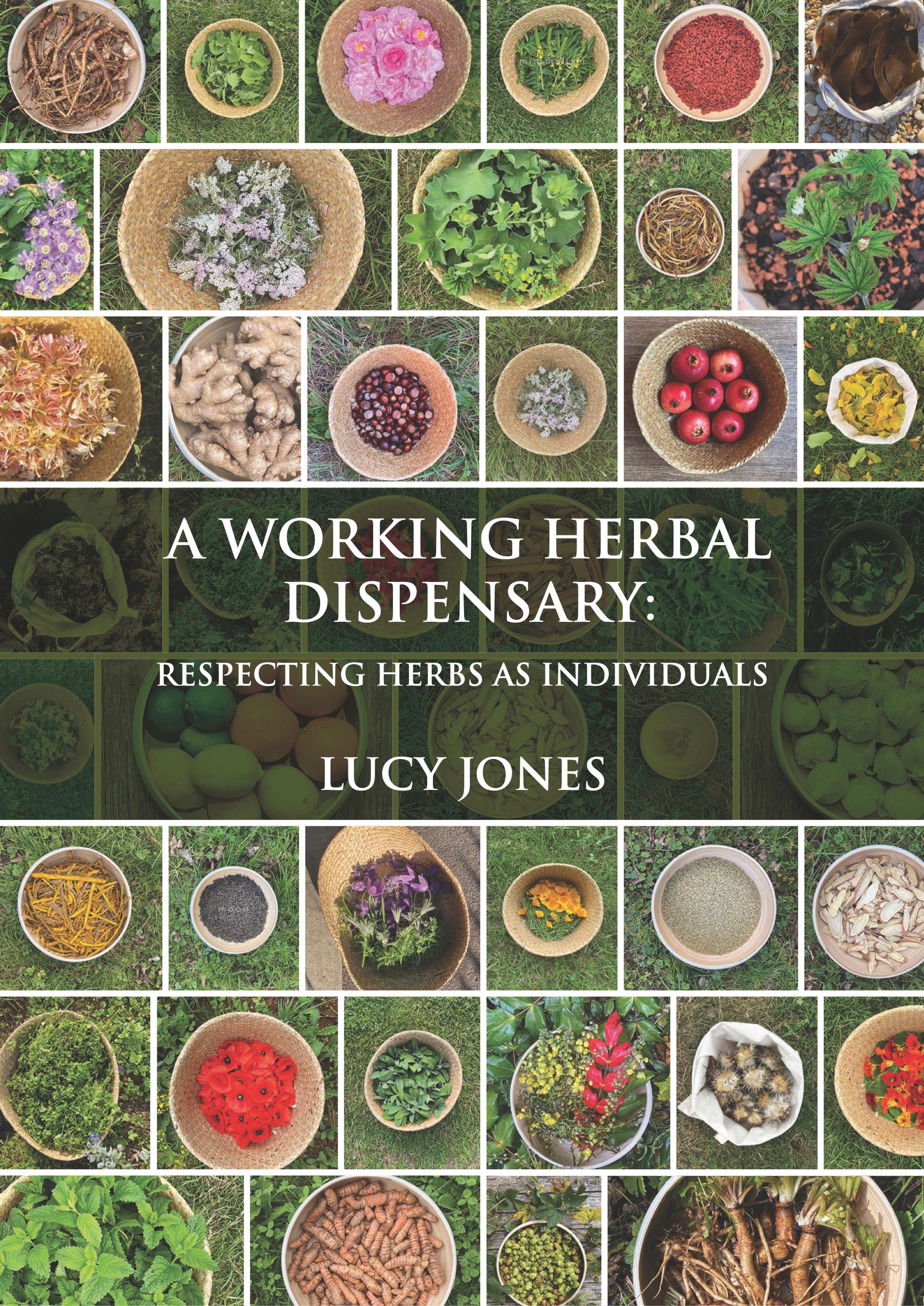 Vorderes Coverbild A Working Herbal Dispensary
