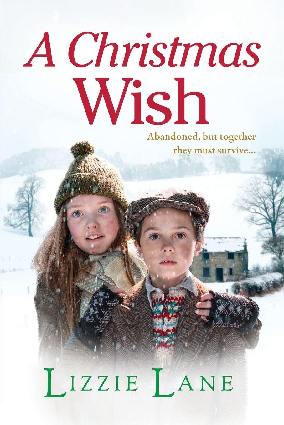 Vorderes Coverbild A Christmas Wish
