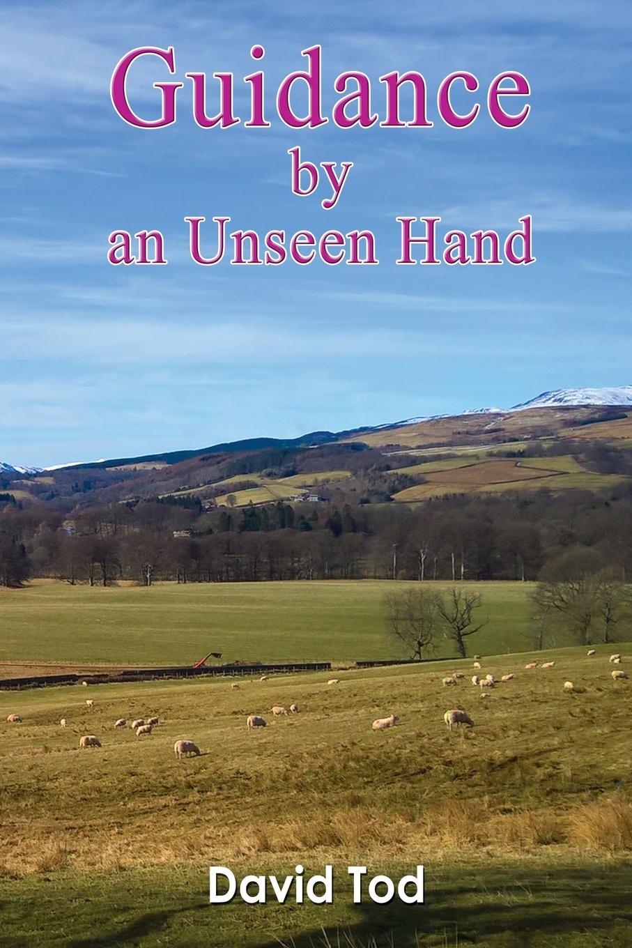 Vorderes Coverbild Guidance by an Unseen Hand
