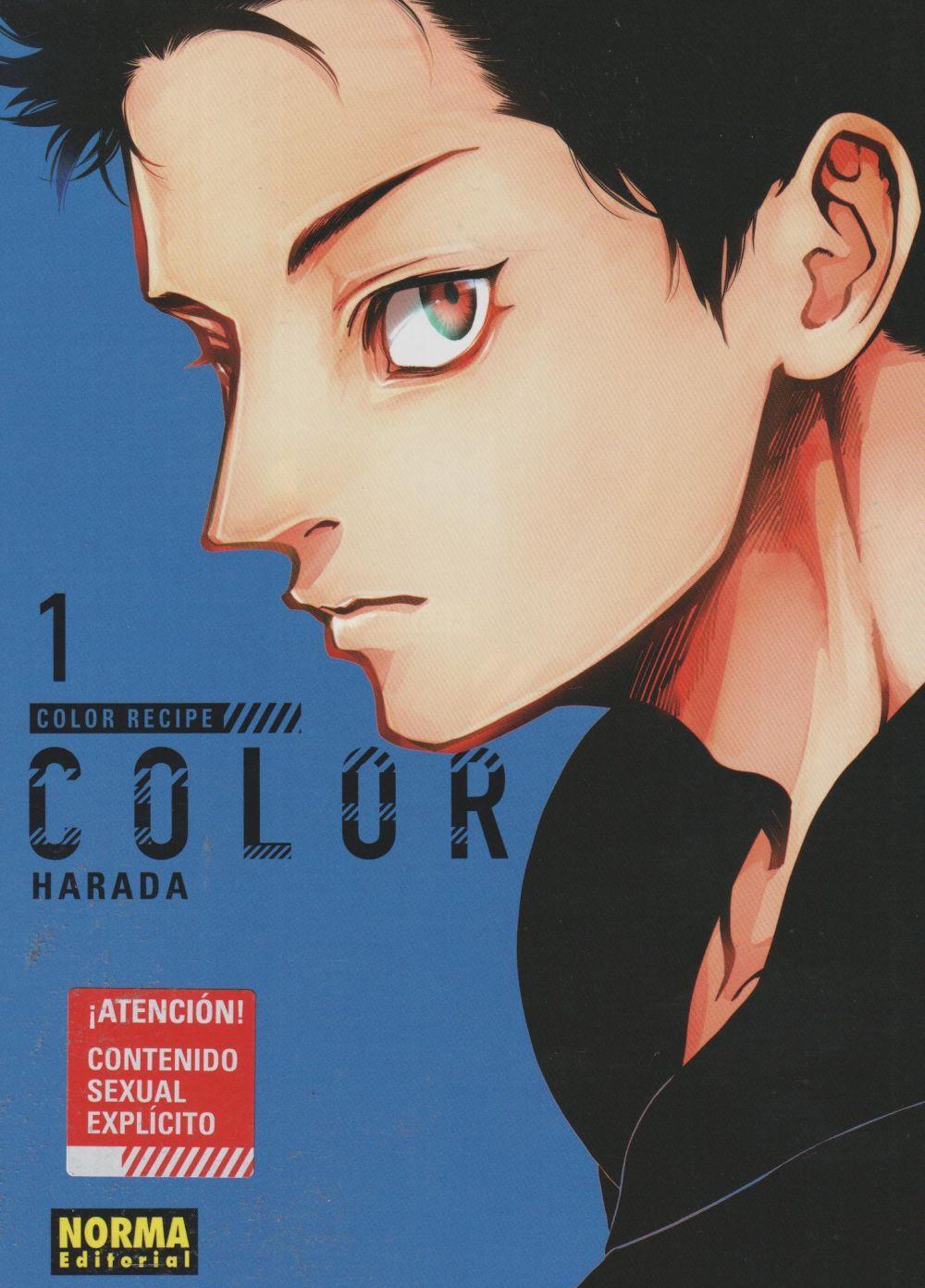 Vorderes Coverbild Color recipe 1