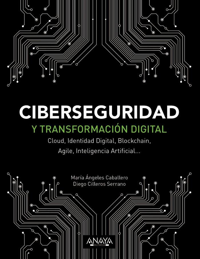 Vorderes Coverbild Ciberseguridad y transformación digital : Cloud, identidad digital, Blockchain, Agile, inteligencia artificial--