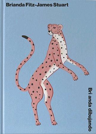 Vorderes Coverbild Bri anda dibujando