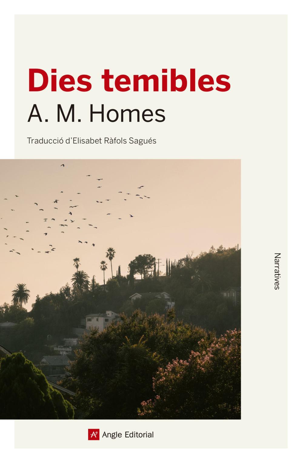 Vorderes Coverbild Dies temibles