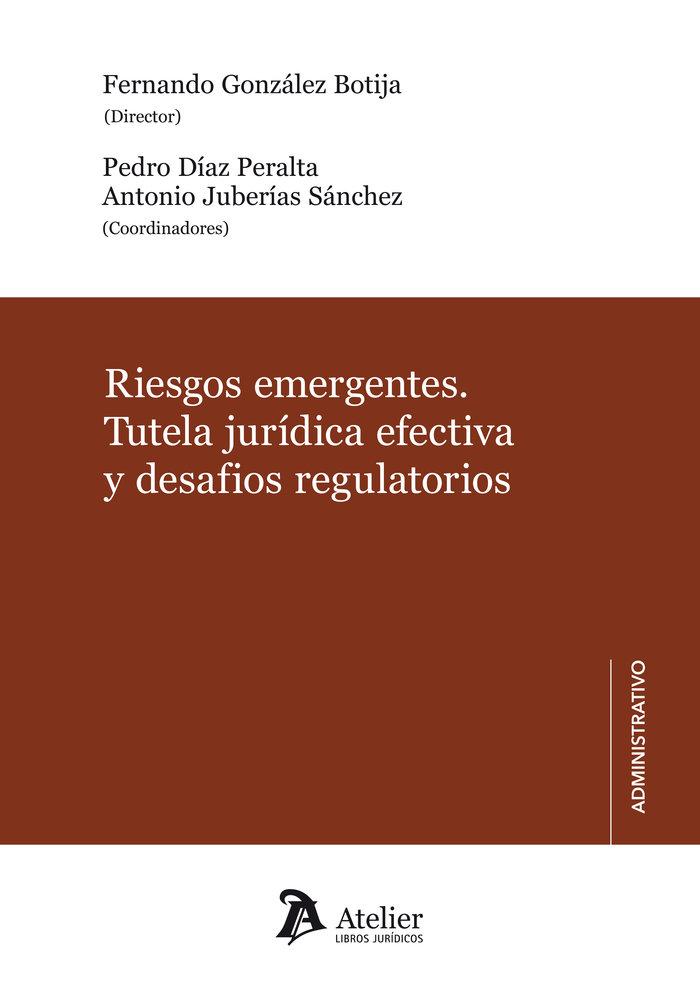 Vorderes Coverbild RIESGOS EMERGENTES TUTELA JURIDICA EFECTIVA Y DESAFIOS REGULATORIOS