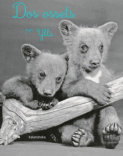 Vorderes Coverbild Dos ossets