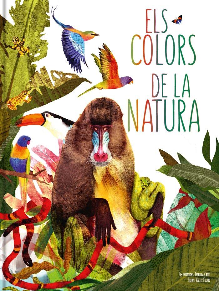 Vorderes Coverbild Els colors de la natura