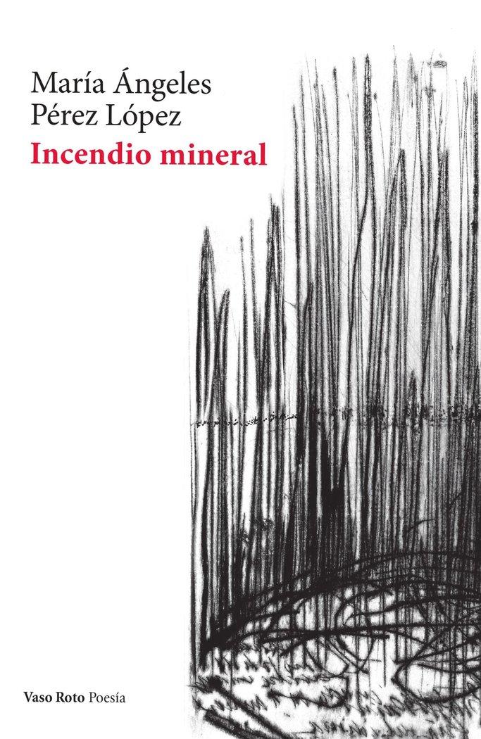 Vorderes Coverbild Incendio mineral