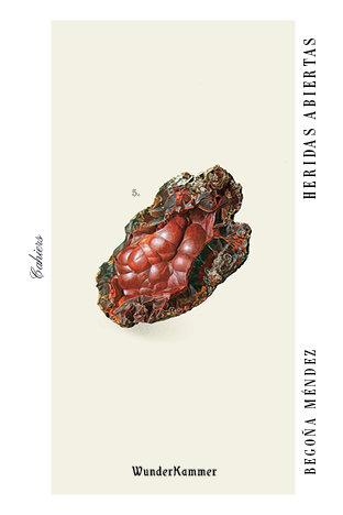 Vorderes Coverbild Heridas abiertas