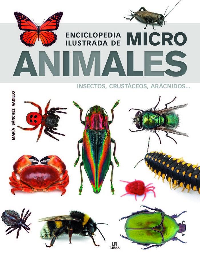 Vorderes Coverbild Enciclopedia ilustrada de micro animales : insectos, crustáceos, arácnidos--