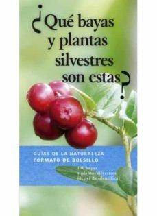 Vorderes Coverbild ¿Qué bayas y plantas silvestres son estas?