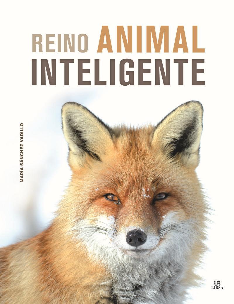 Vorderes Coverbild Reino animal inteligente