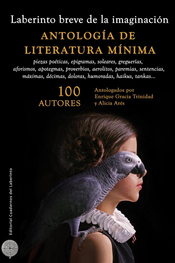 Vorderes Coverbild Laberinto breve de la imaginación : antología de literatura mínima