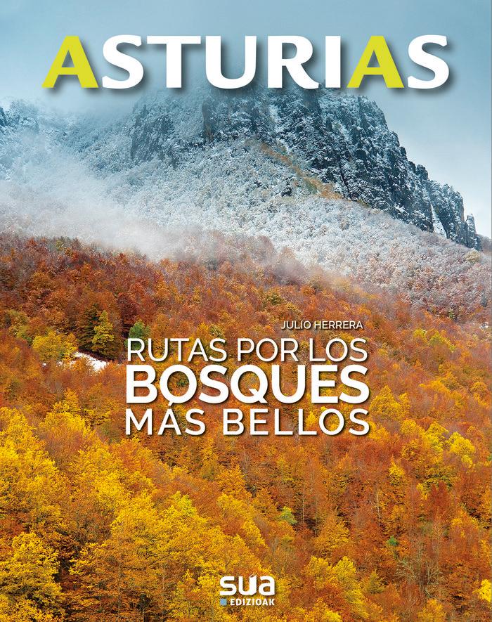 Vorderes Coverbild Rutas por los bosques más bellos