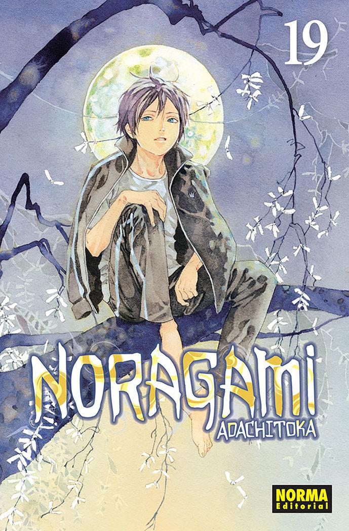 Vorderes Coverbild Noragami 19