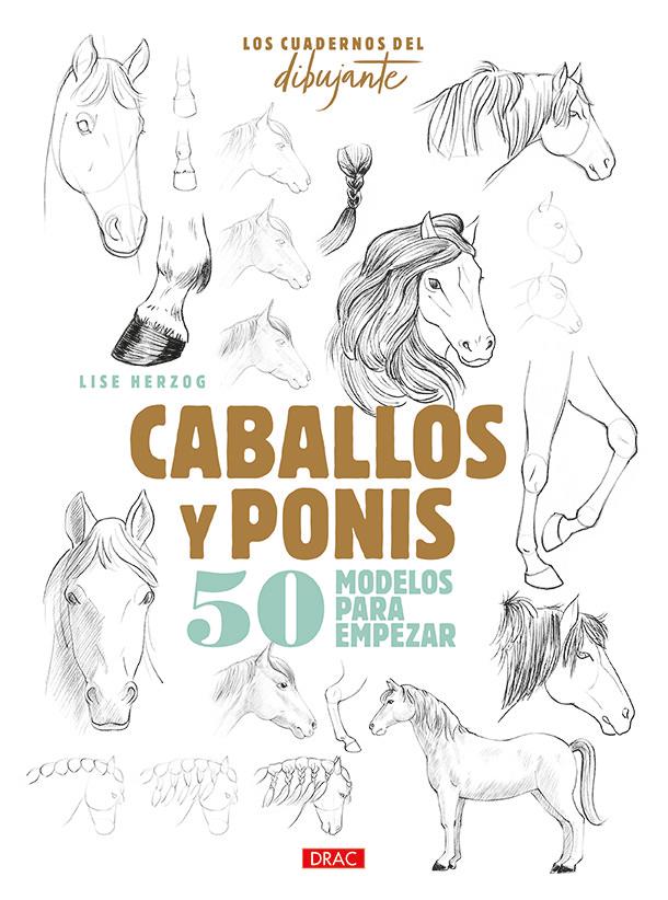 Vorderes Coverbild Caballos y ponis : 50 modelos para empezar