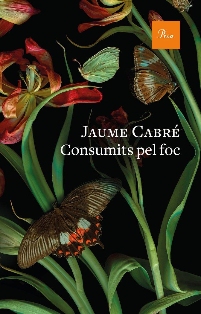 Vorderes Coverbild Consumits pel foc