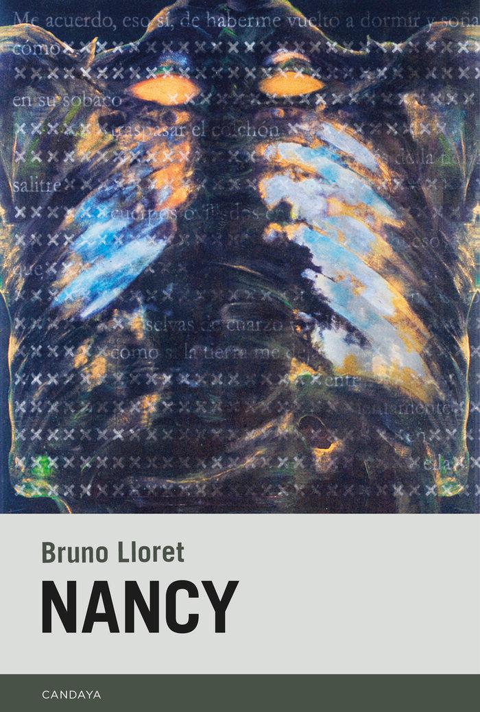 Vorderes Coverbild Nancy