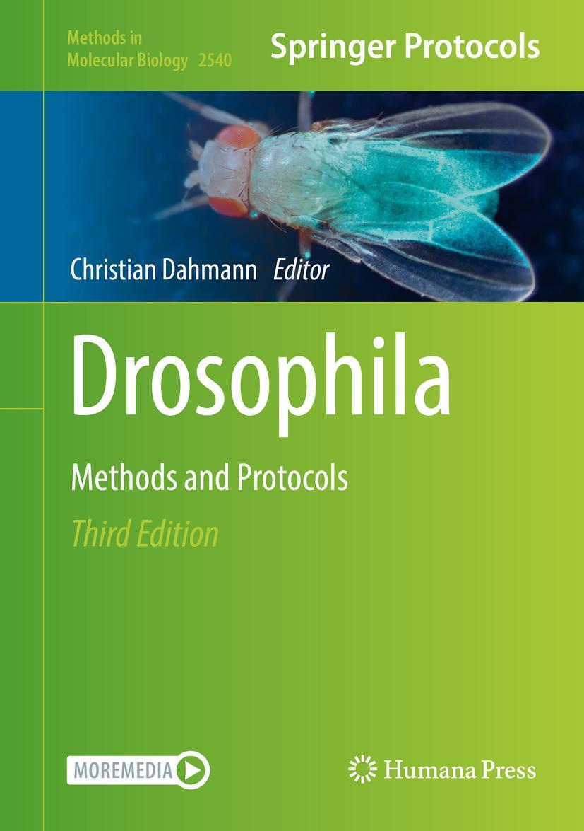 Vorderes Coverbild Drosophila