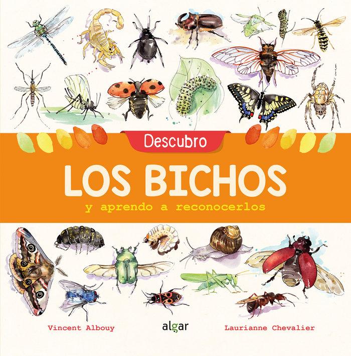 Vorderes Coverbild Descubro Los Bichos