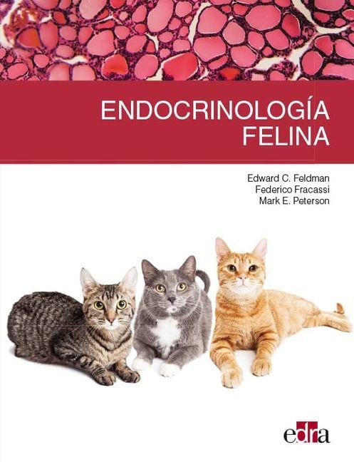 Vorderes Coverbild Endocrinología Felina