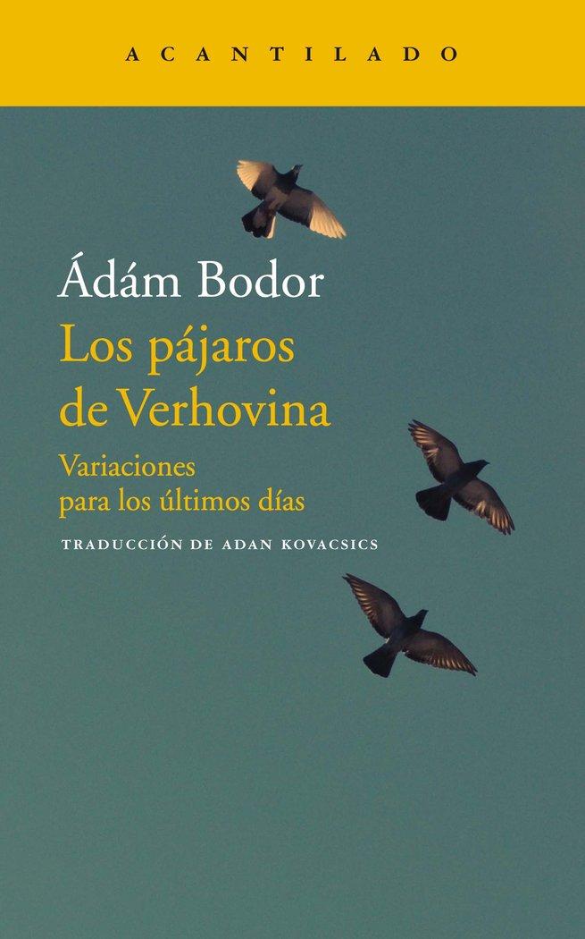 Vorderes Coverbild Los pájaros de Verhovina : variaciones para los últimos días