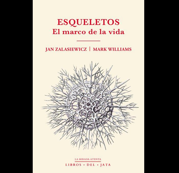 Vorderes Coverbild Esqueletos