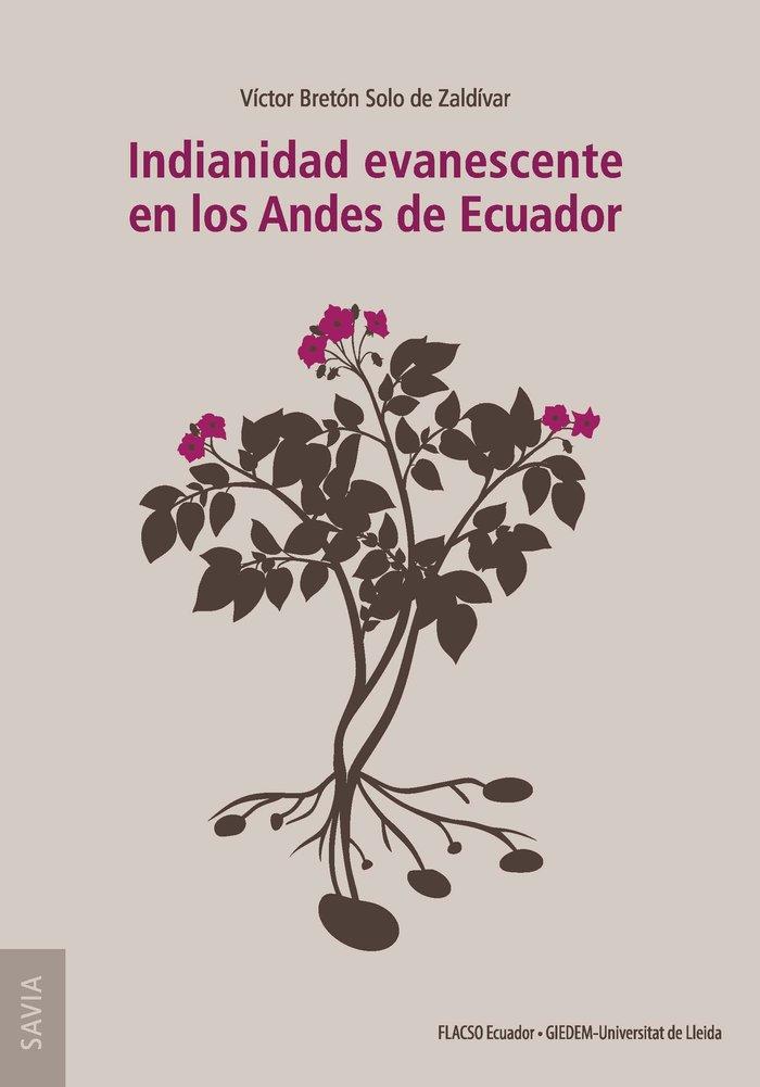 Vorderes Coverbild Indianidad evanescente en los Andes de Ecuador