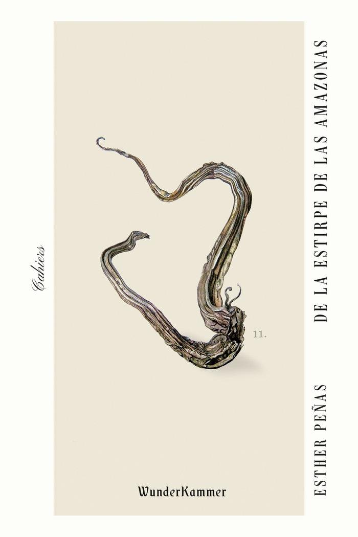 Vorderes Coverbild De la estirpe de las amazonas