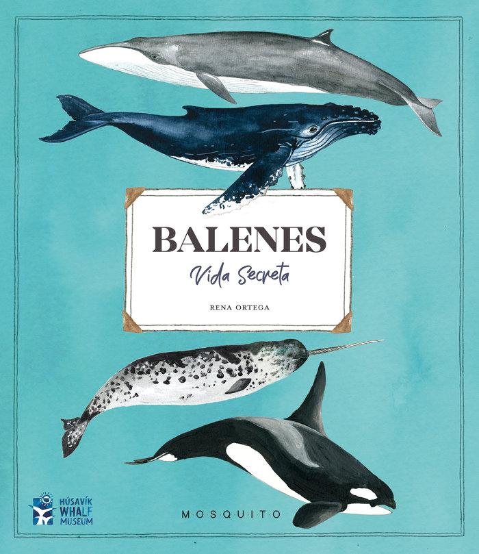 Vorderes Coverbild Balenes : vida secreta