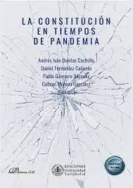 Vorderes Coverbild La constitución en tiempos de pandemia