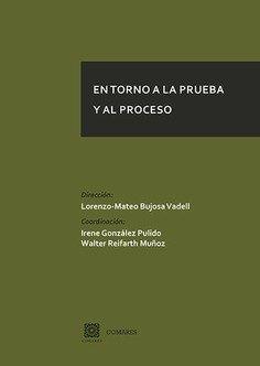 Vorderes Coverbild En torno a la prueba y al proceso