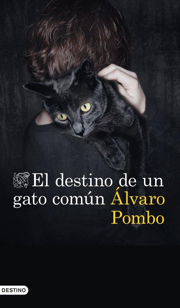 Vorderes Coverbild El destino de un gato común