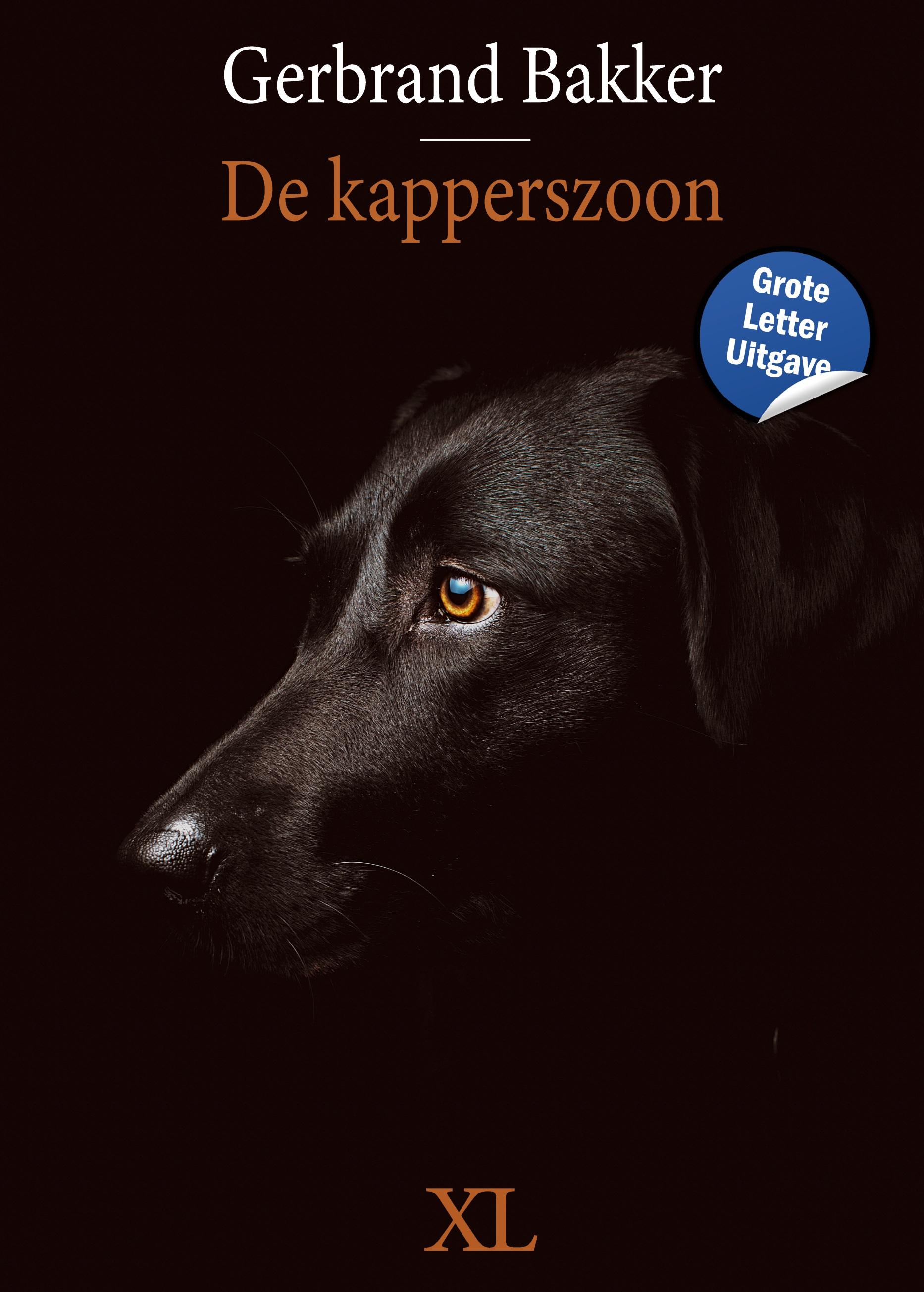 Vorderes Coverbild De kapperszoon