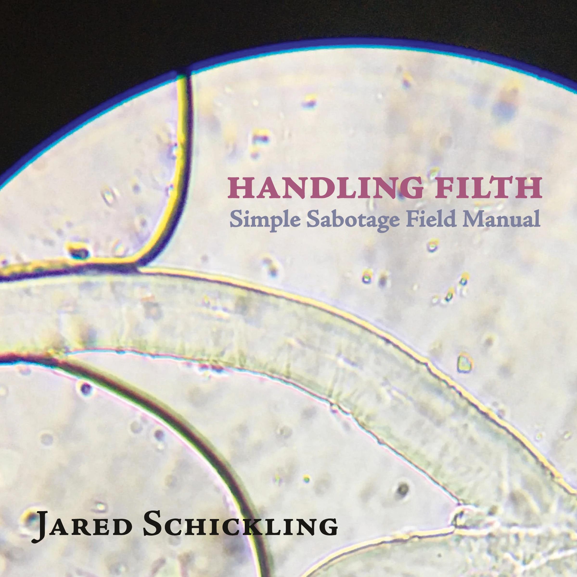 Vorderes Coverbild Handling Filth