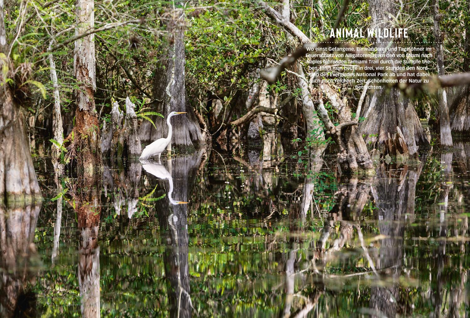 Beispielinhalt (Bild) DUMONT Bildatlas Florida