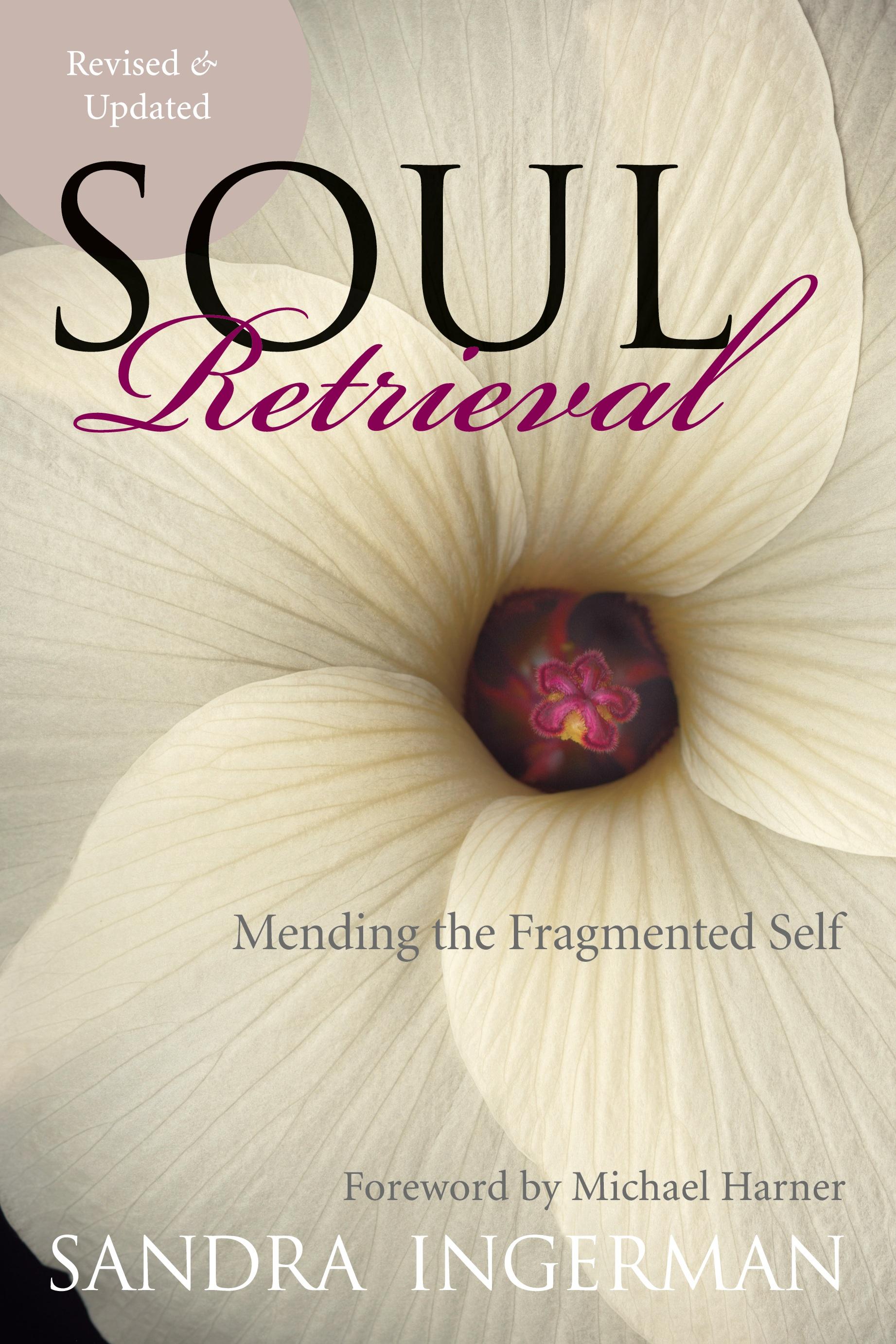 Vorderes Coverbild Soul Retrieval