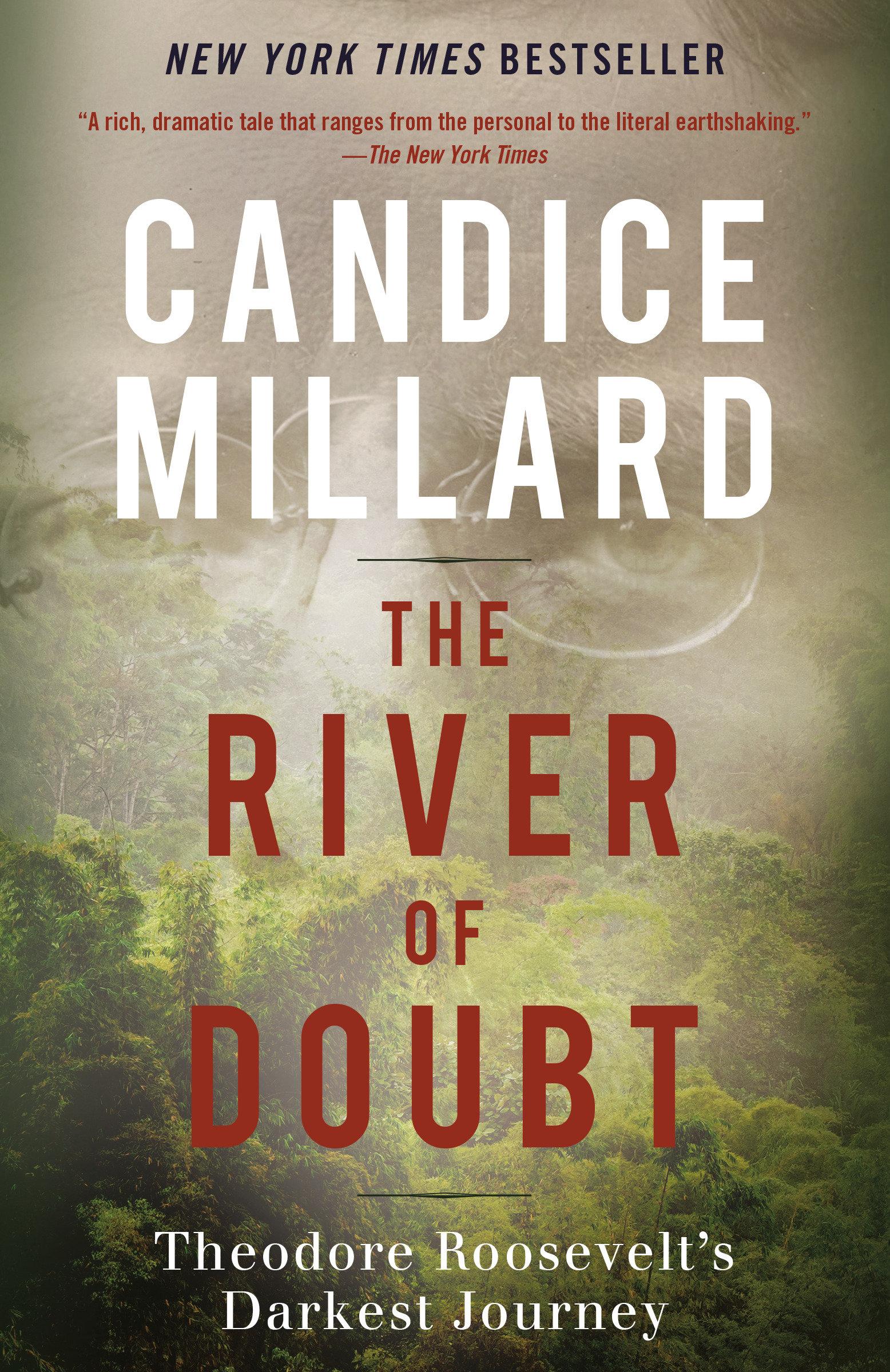 Vorderes Coverbild The River of Doubt